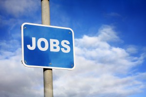 Oferta de empleo Oferta de empleo
