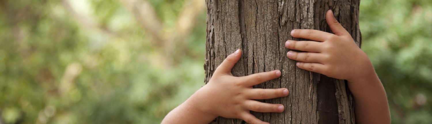 Responsabilidad social VERUS